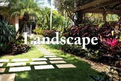 Landscape & Design